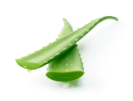 Aloe vera ingredient